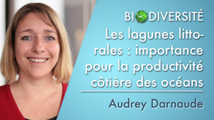 2.09 Les lagunes littorales: importance pour la productivité côtière des océans