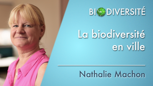5b.01 La biodiversité en ville