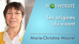 1.09 Les origines du vivant