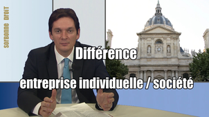 2.2. Différence entreprise individuelle / société