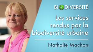 5b.03 Les services rendus par la biodiversité urbaine