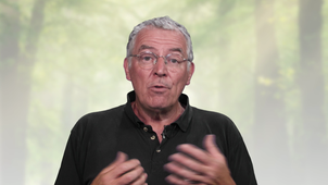 MOOC Arbre - La construction d'un arbre