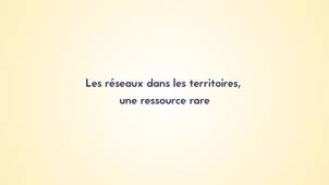 3.2. Les réseaux dans les territoires, une ressource rare