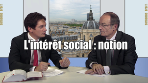 3.1. L'intérêt social : notion