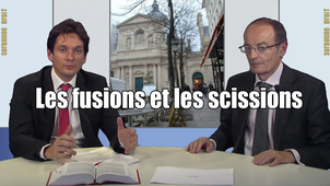 5.7. Les fusions et les scissions