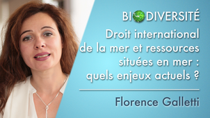 2.01 Droit international de la mer et ressources situées en mer: quels enjeux actuels?