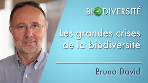 1.10 Les grandes crises de la biodiversité