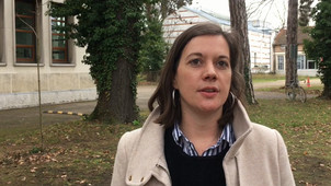 IEDES LEMARIE Développement local 2011