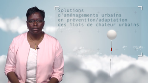 5.5 Solutions d'aménagements urbains en prévention/adaptation des îlots de chaleur urbains