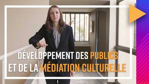 Développement des publics et de la médiation culturelle