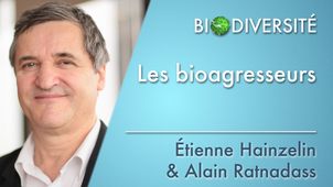 4.05 Les bioagresseurs