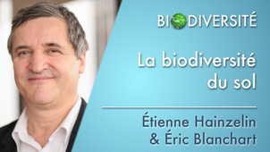 4.07 La biodiversité du sol