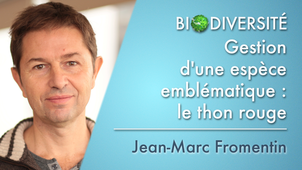 2.02 Gestion d'une espèce emblématique: le thon rouge