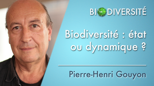 1.01 Biodiversité: état ou dynamique?
