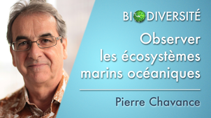2.08 Observer les écosystèmes marins océaniques