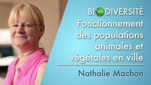5b.02 Fonctionnement des populations animales et végétales en ville