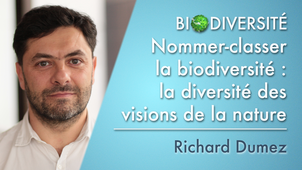 7.03	Nommer-classer la biodiversité: la diversité des visions de la nature