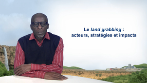 3.5 Le land grabbing : acteurs, stratégies et impacts