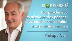 2.04 L'approche écosystémique des pêches: réconcilier conservation et exploitation marine