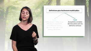 MOOC Arbre - L'arbre et le droit en France