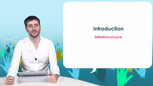 1.1. Introduction