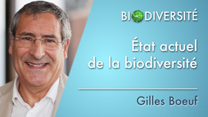 1.06 État actuel de la biodiversité