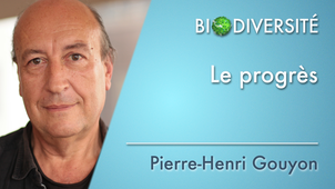 1.03 Le progrès