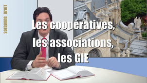 4.6. Les coopératives, les associations, les GIE
