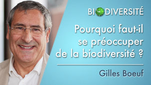 1.07 Pourquoi faut-il se préoccuper de la biodiversité?