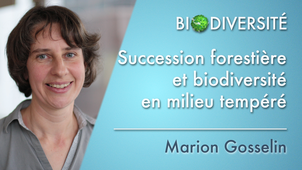 3.02 Succession forestière et biodiversité en milieu tempéré