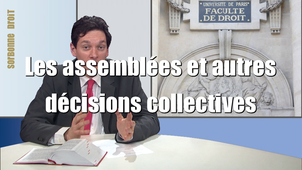 5.1. Les assemblées et autres décisions collectives