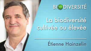 4.04 La biodiversité cultivée ou élevée