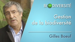 6.00 Gestion de la biodiversité