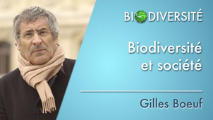 7.0 Biodiversité et société