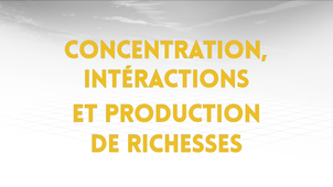 3.1 - Concentration, interactions et production des richesses