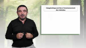 MOOC Arbre - Changement climatique, arbres et épigénétique