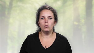 MOOC Arbre - L'arbre dans le registre fossile