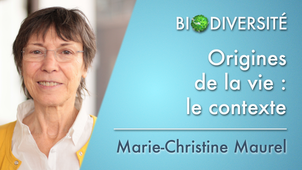1.08 Origines de la vie: le contexte