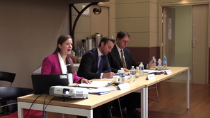 06/11 - La diffamation saisie par les juges en Europe - M. THEVENOT-WERNER - La diffamation saisie par les juges allemands