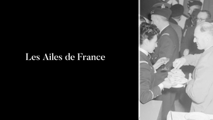 Les Ailes de France