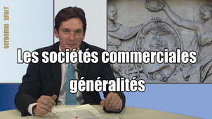 4.2. Les sociétés commerciales – généralités