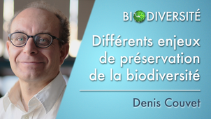 6.01 Différents enjeux de préservation de la biodiversité