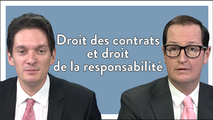 4.6. Droit des contrats et droit de la responsabilité