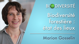 3.01 Biodiversité forestière: état des lieux