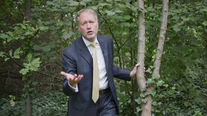 MOOC Arbre - L'arbre et la compétition