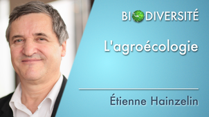 4.06 L'agroécologie