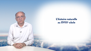 4.4. L'histoire naturelle au XVIIIe siècle