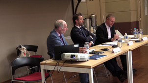 10/11 - La diffamation saisie par les juges en Europe - Discussion - II.  LA DIFFAMATION SAISIE PAR LES COURS CONSTITUTIONNELLES