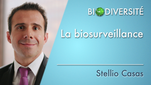 6.09	La biosurveillance