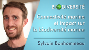 2.03 Connectivité marine et impact sur la biodiversité marine
